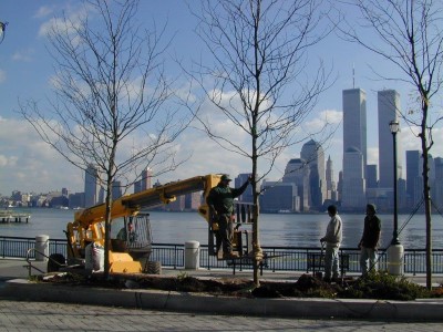 Liberty national