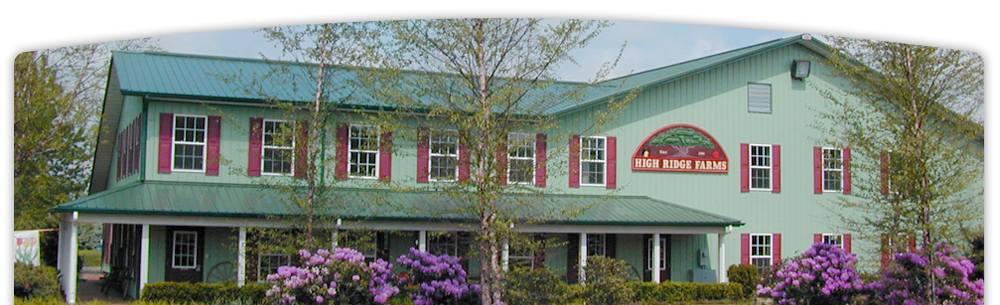 High Ridge Farms Nursery With Over 300 Varieties Of Trees In Ny